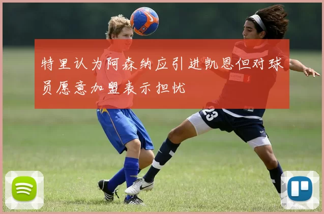 特里认为阿森纳应引进凯恩但对球员愿意加盟表示担忧
