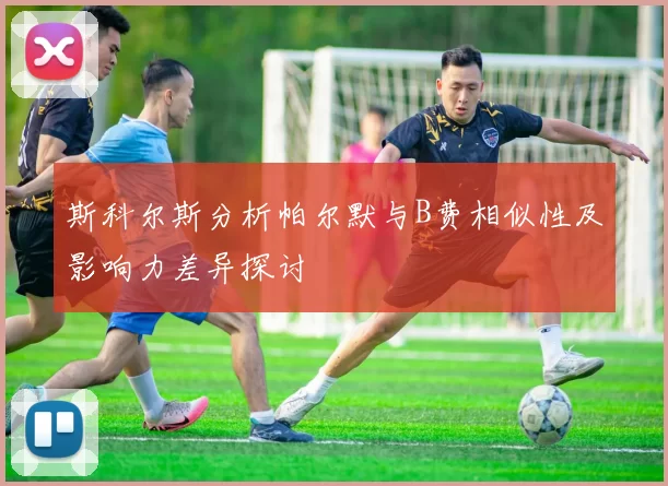 斯科尔斯分析帕尔默与B费相似性及影响力差异探讨