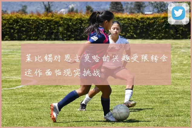 莱比锡对恩古莫哈的兴趣受限转会运作面临现实挑战